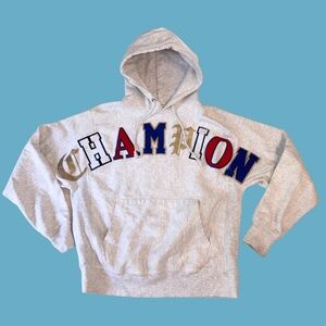 Champion Reverse Weave Hoodie M Gray Spellout Multi Font Glitter Old English